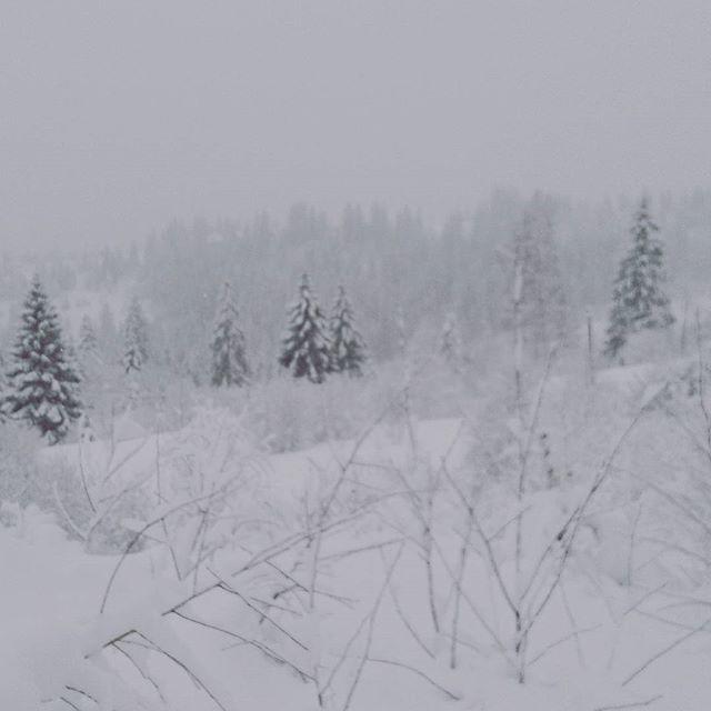 Zacharovany Karpaty Slavske Luaran gambar